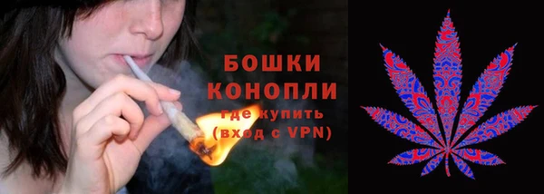 ПСИЛОЦИБИНОВЫЕ ГРИБЫ Козельск